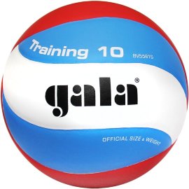 Мяч волейбольный GALA Training 10 BV5561  р.5, синт. кожа, ПУ,клеен.бут.,кам.