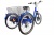 Трицикл  CROLAN 350W